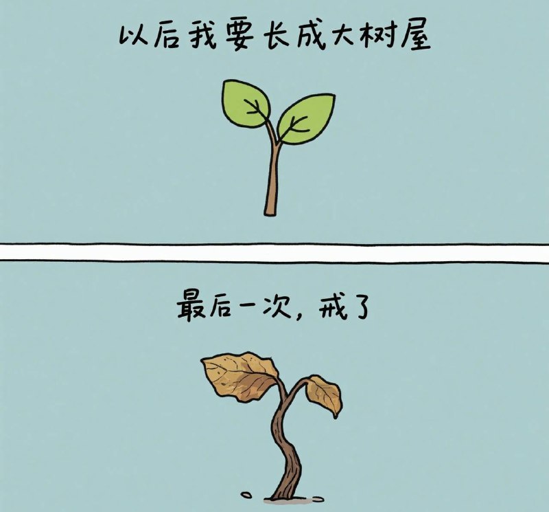 ▎这回真的戒了我有一个朋友今天说他要戒了，以后再也不当机长再也不玩喷泉了，此帖为证