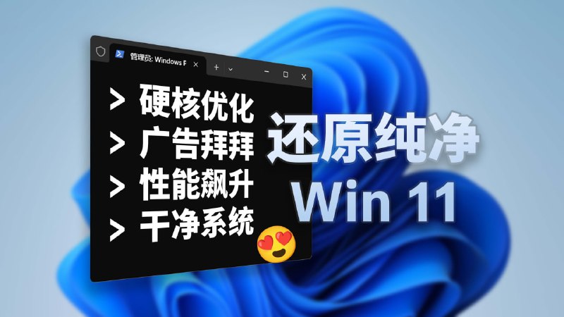#系统优化 #电脑🟠一个脚本解决-Win11终极瘦身🟢介绍