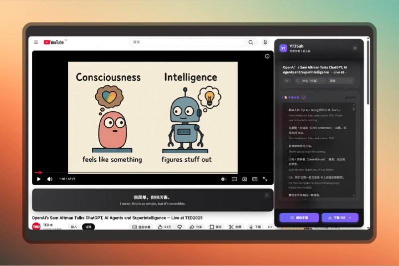 #YouTube #油管 #扩展插件🟠YouTube 字幕提取下载🟢YT2Sub
