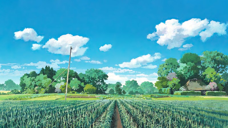 #360全家桶✅TG小树屋 🟡名称