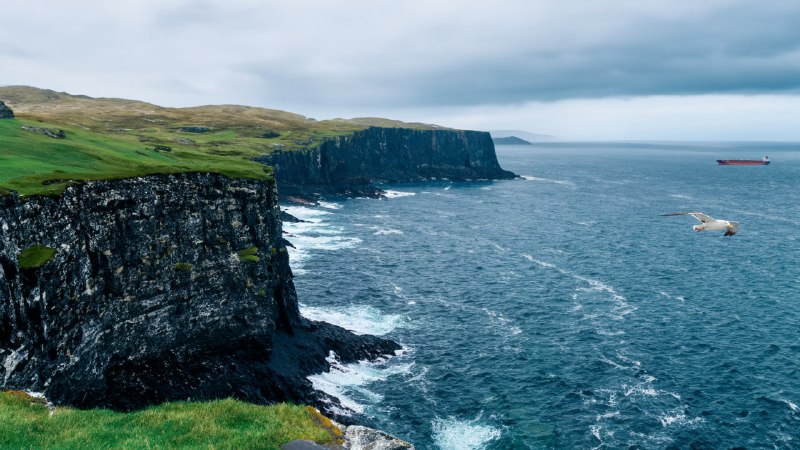 #影视✅TG小树屋 🟡名称