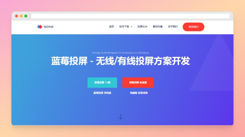 ✅蓝莓投屏⭐️标签