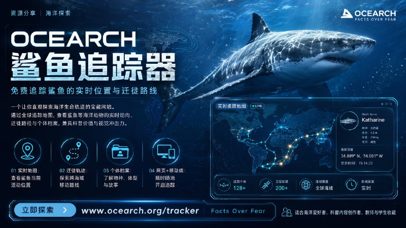 ✅实时追踪大白鲨 - Ocearch🏷标签